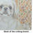 Cream Pekingese Heirloom Fall Glass Cutting Board