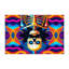 Tapis intérieur et extérieur Kaleidoscope Radiance-2083611039