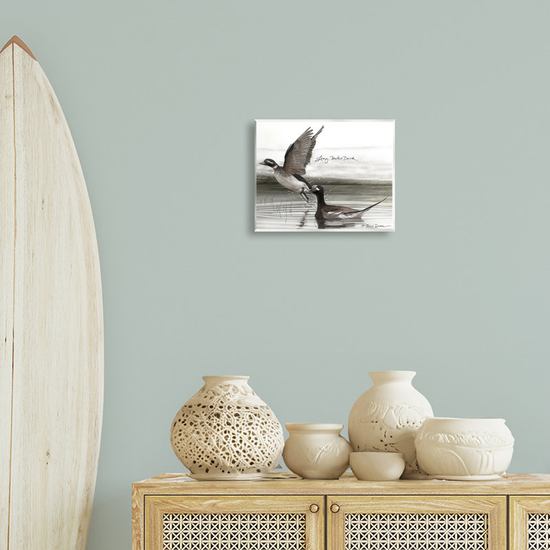 «Long Tailed Duck» par Jadei