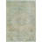 Machine Washable Indoor/Outdoor Claudian ACN1636 Sage Rug-104240217