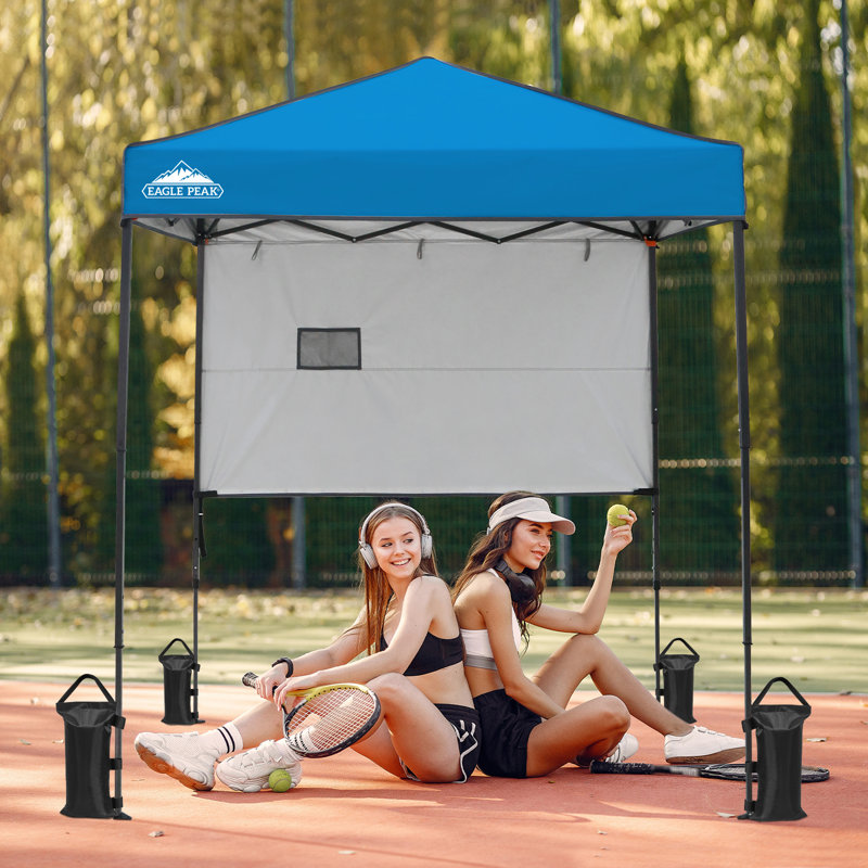 Eagle Peak Black Polyester Heavy-Duty Canopy Weight Bags