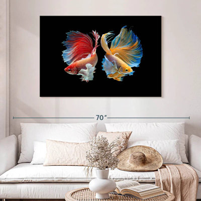 Betta Fish In Sync