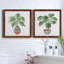 Boho Greenery I - ensemble de 2 peintures sur toile encadrées-1793192103-1793192157