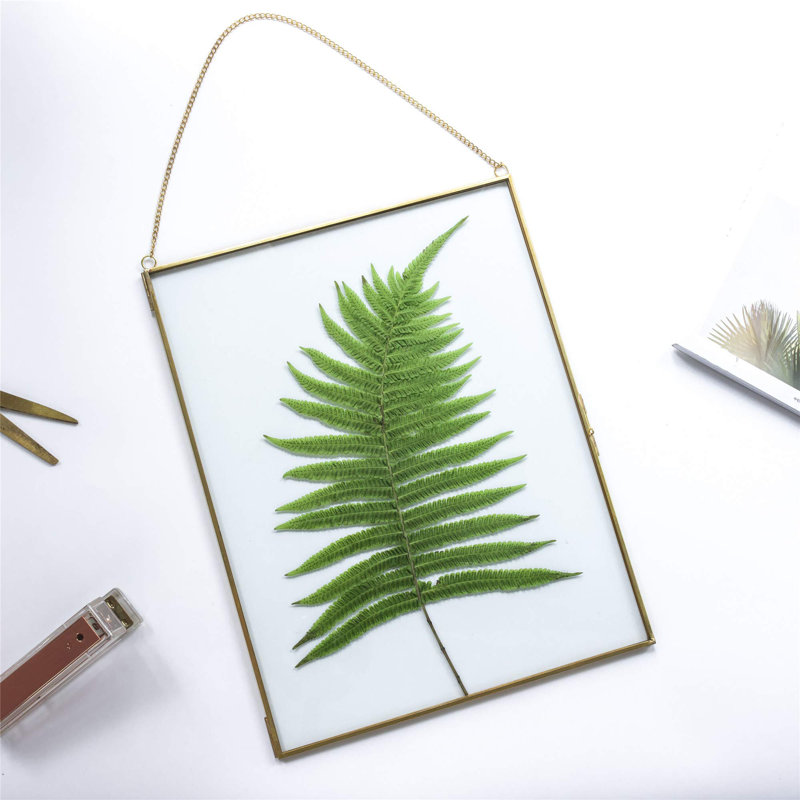 Cadre de présentation de photo de certificat d'art en verre suspendu en laiton de 8 po x 10 po, pince à spéculation de plante ornementale, porte-carte de décoration verticale moderne, cadre en verre seulement