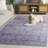 Tucson 230 M/W S/R Performance Machine Washable Oriental Rug-43381290