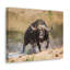 «Buffalo Hunting Buffalo on Hunt», reproduction d'art mural-538553427