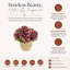 Fall Hydrangea Floral Arrangement-1288045206