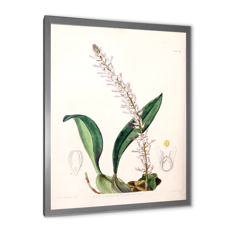 Vintage London Plants V - peinture sur toile, H 20 po x l 12 po x P 1po, Cadre photo argenté