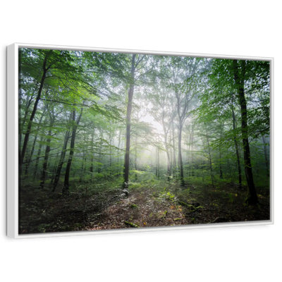 Lighting Forest II