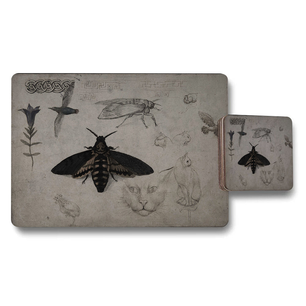 Vintage Moth Illustration Placemat And Coaster Set With Botanical Drawings