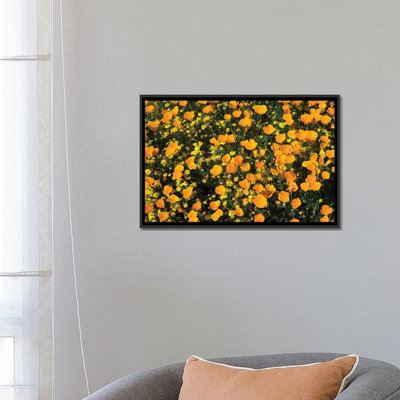 «Field of California Poppies and Canterbury Bells Wildflowers, Diamond Valley Lake, California, USA V», reproduction de photo sur toile
