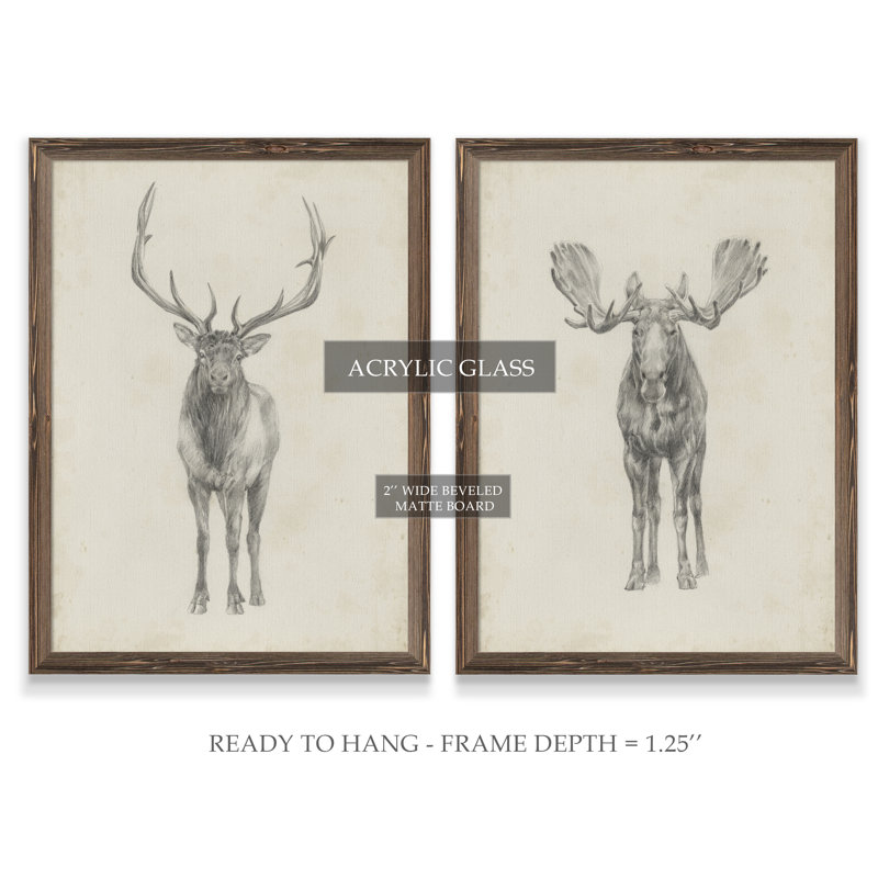 «Moose Study» par Antonyus Bunjamin (Abe), ensemble de 2 reproductions d'art sur toile, H 24 po x l 18 po, Toile encadrée