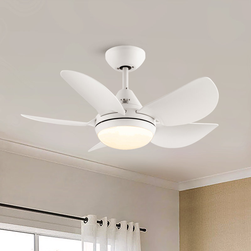 Petit ventilateur de plafond standard à DEL à 5 pales de 30 po avec télécommande et ensemble d'éclairage inclus, Blanc