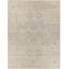 Biscayne Wool Oriental Area Rug in Tan-61470504