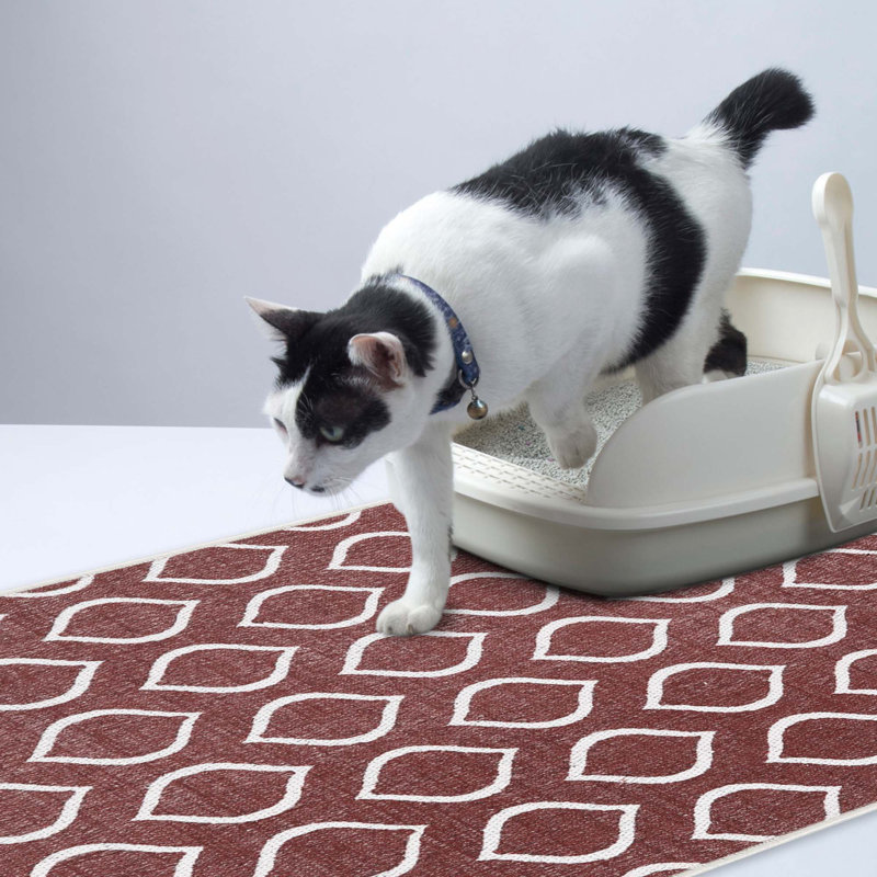 Tapis de litière, Marron