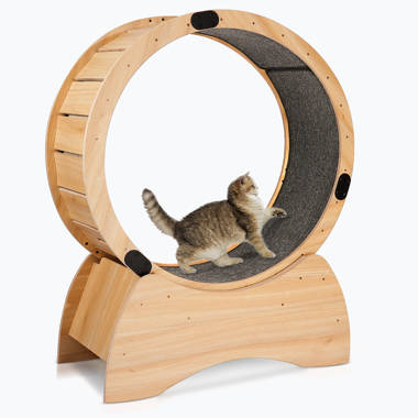 linor 5 in 1 Cat Wheel, Cat Exercise Wheel with 2 Anti-Scratch
