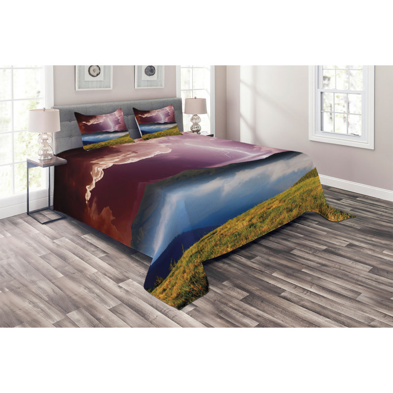Modern & Contemporary Polyester Coverlet