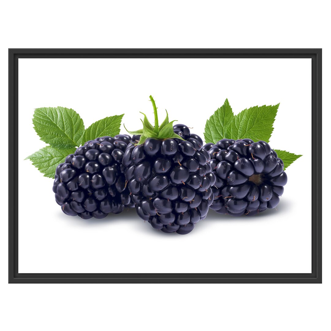 Gerahmtes Wandbild Leckere Brombeeren