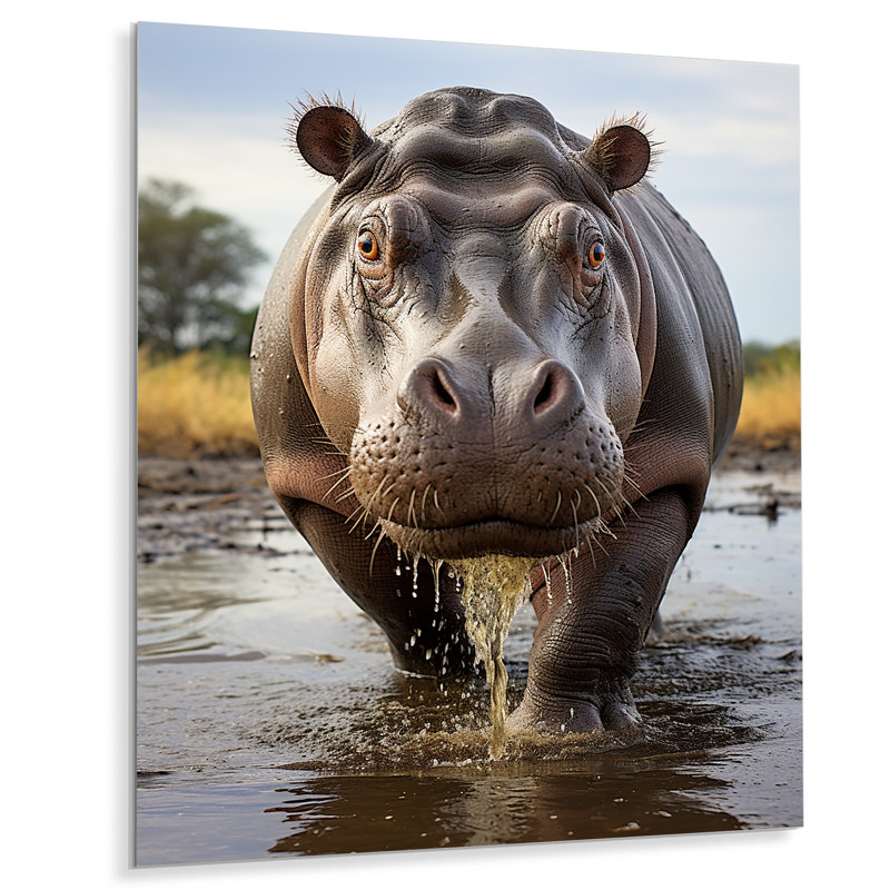 " Hippopotamus Mighty Hippo I ", 20" H x 12" W x 1" D