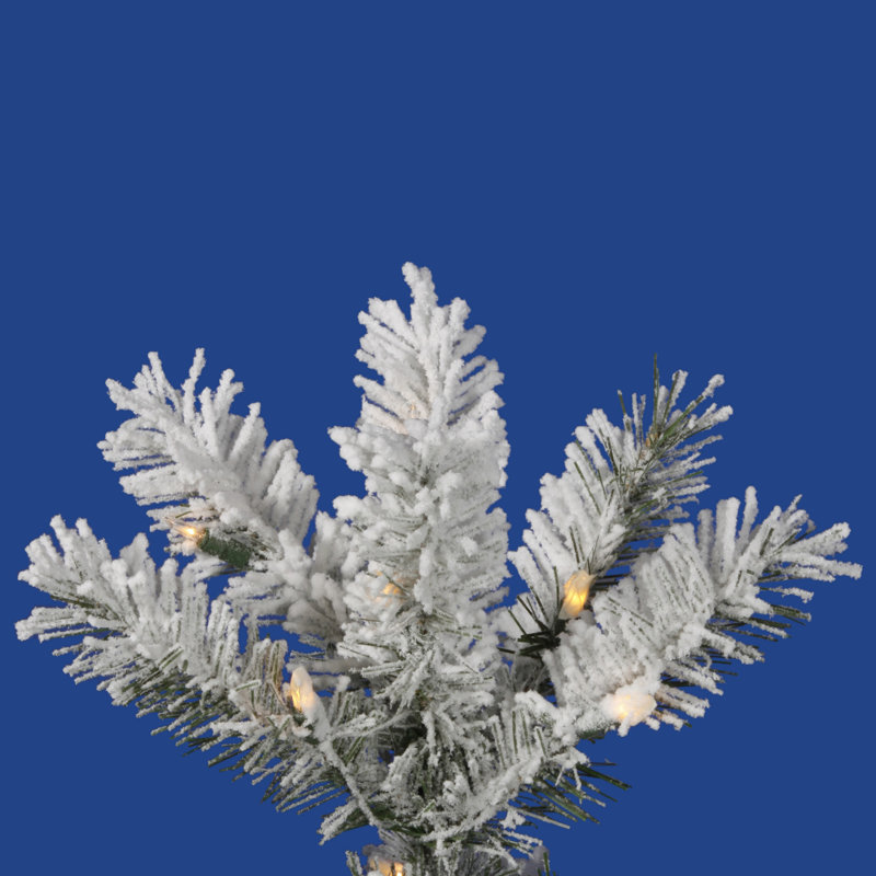 Pacific Flocked Pencil Pine Artificial Christmas Tree, 4.5' H, Warm White LED