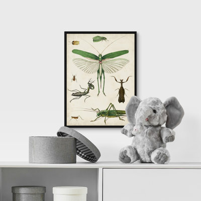 Art sur toile bugs kids