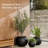 Kute Nest Indoor/Outdoor Fiberstone Globo Ball Planter - Tricorn Black 12"D (Opening 7.8")-114366456-114366458
