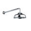 Classic Rain Shower Head With Arm-32458266
