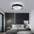 20in Ceiling Fan with Light