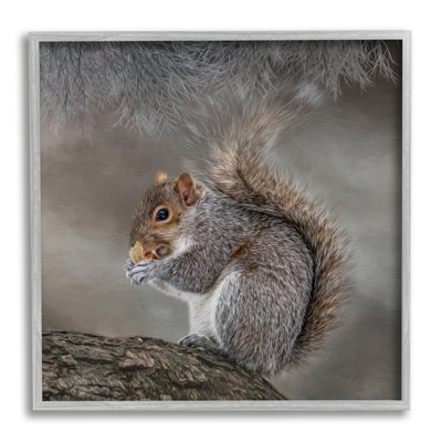 «Woodland Wildlife Squirrel», photographie par estampe numérique grise de Kelley Parker
