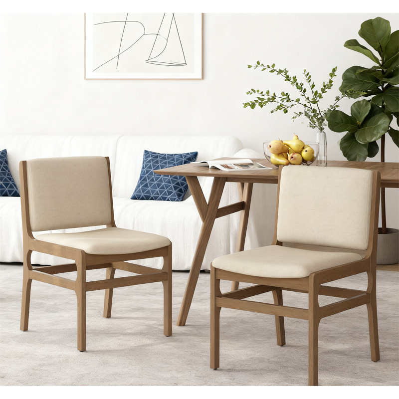 Modern Accent Dining Chairs