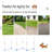 Adjustable Dog Agility Training Obstacle Set