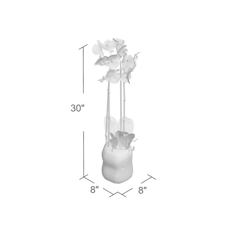Conservatory Orchid Drop-In, 30" H x 8" W x 8" D