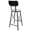 Tatianina Counter Stool with Metal Frame