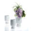 Vase Canella-425727694