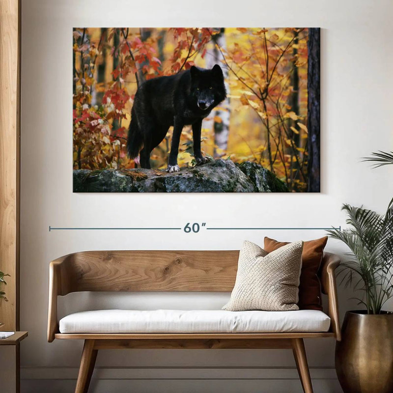 Loup noir d'automne, H 34 po x l 51 po