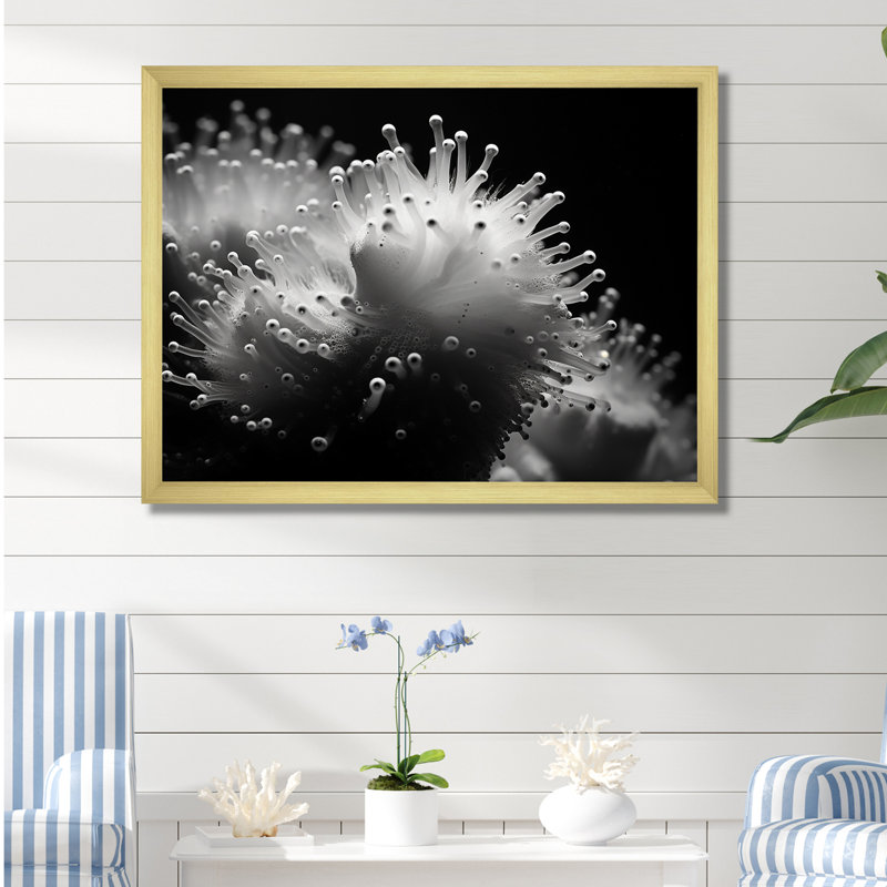 «The Charm Of Pufferfish», reproduction d'art sur toile, H 30 po x l 40 po x P 1,5 po, Cadre doré simple