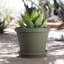 Pot à fleur intérieur / extérieur en plastique Terra-364637225-364854827