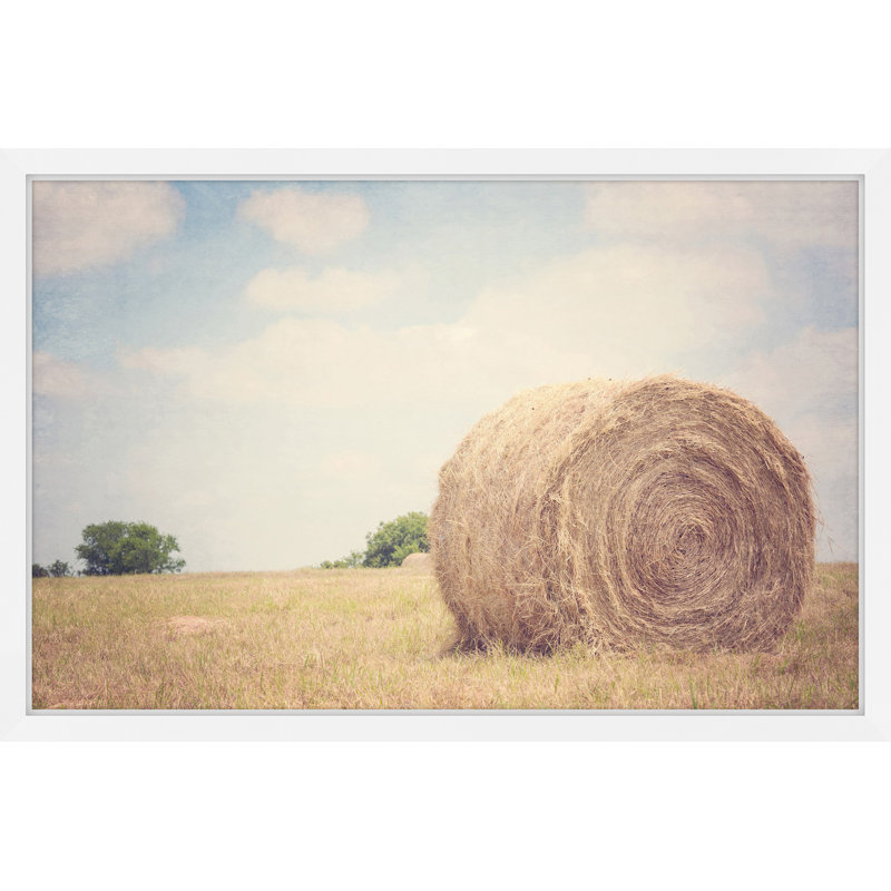 Single Picture Frame Print, 41cm H x 61cm W