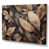 Wrapped Canvas