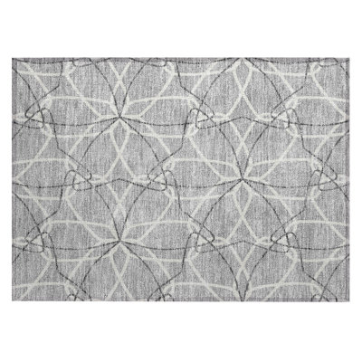  Alegandro Area Rug with Non-Slip Backing