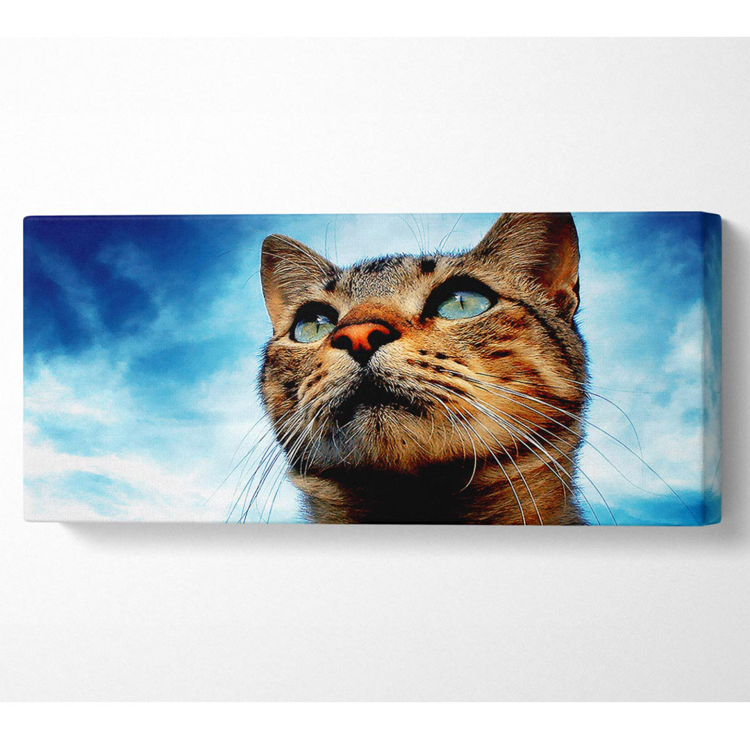 Katzenjagd - Kunstdrucke auf Leinwand - Wrapped Canvas