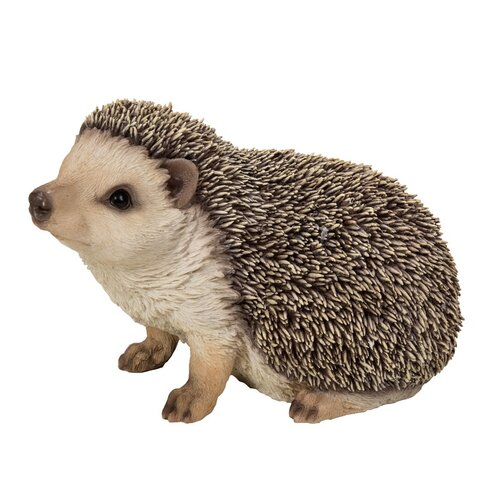 Hi-Line Gift Ltd. Crawling Hedgehog Statue & Reviews | Wayfair
