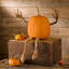 Posable Pumpkin Vine Arms and Legs Set, Includes 4 Pieces