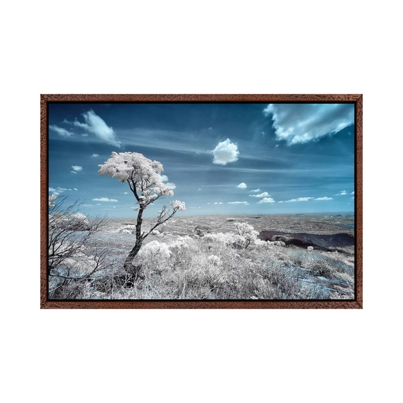 Discover - Sao Paulo, Brazil by Glauco Meneghelli - Print on Canvas, 66.04 cm H x 45.72 cm W, Classic Brown Wood Framed