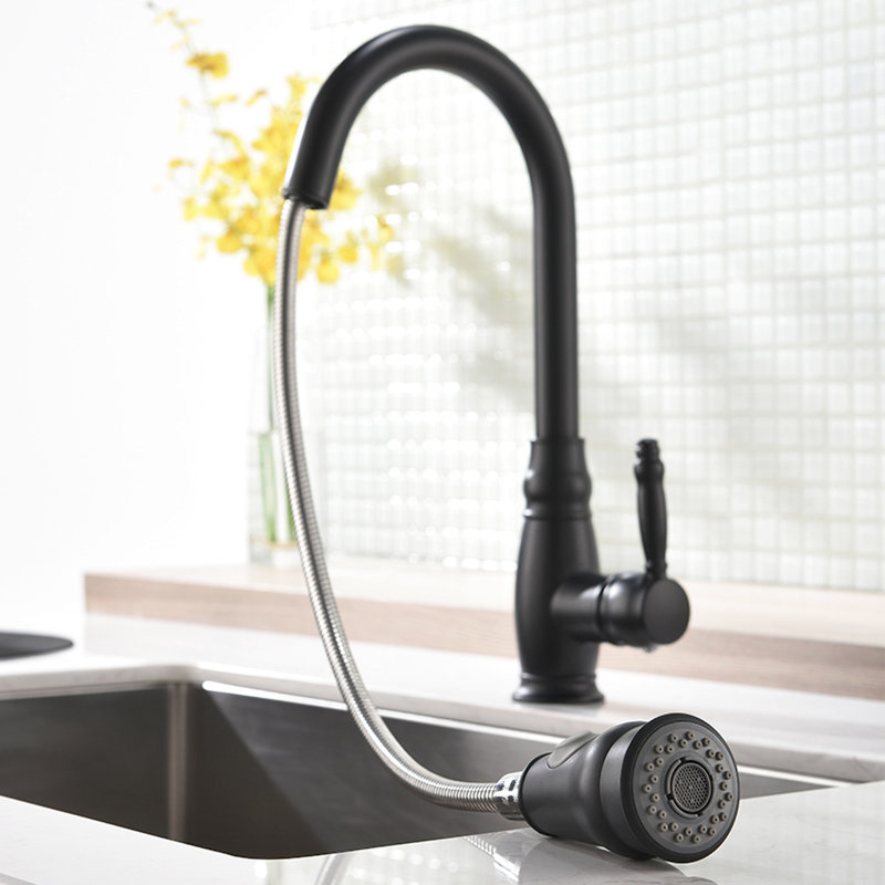 Robinet de cuisine noir avec douchette rétractable - Conception moderne, poignée simple pour une gestion facile de l'eau et une apparence élégante, mat réglable, fonctionnalité de réglage de la température