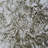 Osgood Wallpaper-1730287769