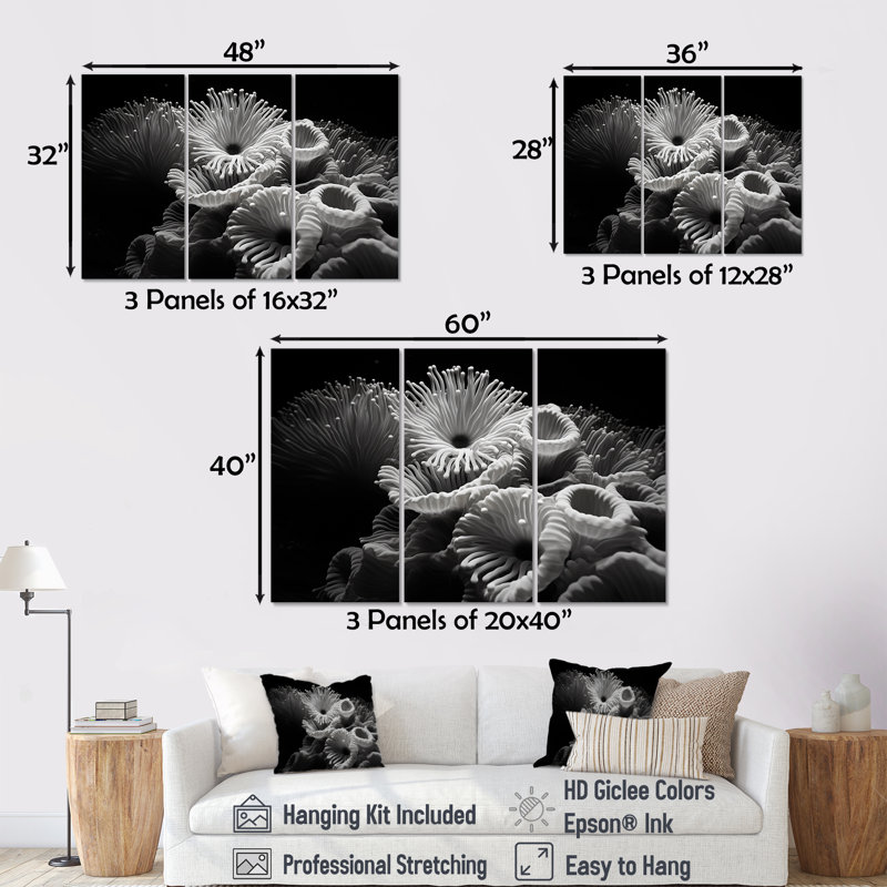 Ensemble de décorations murales photo corail noir et blanc, H 40 po x l 60 po x P 1 po