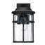 Schlegel Matte Black Outdoor Wall Lantern-951230140