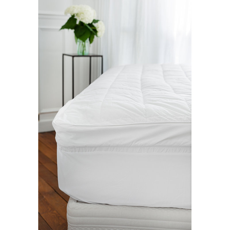 5cm Cotton Mattress Topper, European Single (90 x 200cm)