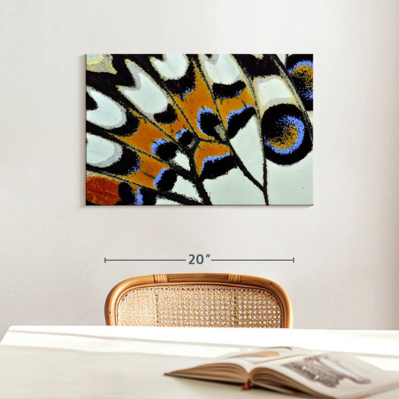 Brampt Butterfly Wing Close Up, 16" H x 24" W